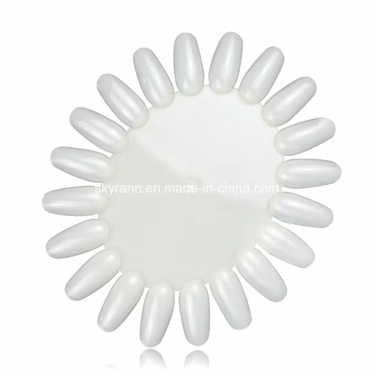 투명 천연 네일 팁 연습 매니큐어 도구 디스플레이 36 팁 컬러 차트 연습 휠 원형 네일 팁 연습 디스플레이